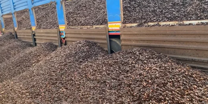 14c4a704-afcc-4d36-8eba-e08ae96b8f51-large16x9_nhfamilyphoto