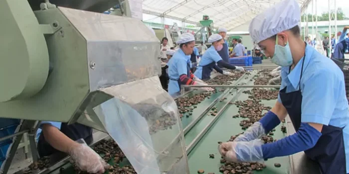 14c4a704-afcc-4d36-8eba-e08ae96b8f51-large16x9_nhfamilyphoto