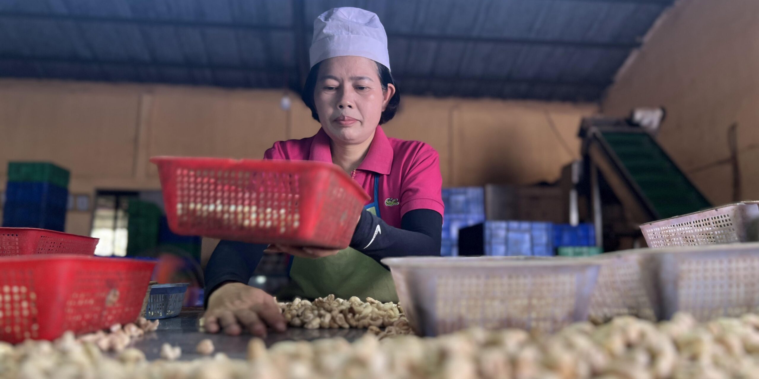 2024_04_03_09_41_IMG_9344