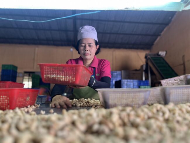 2024_04_03_09_41_IMG_9344