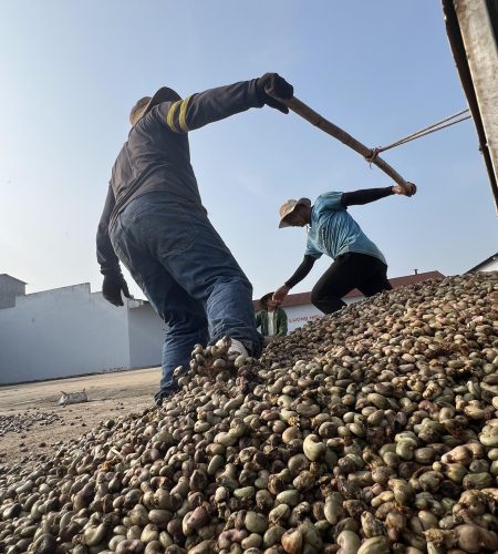 2024_04_03_07_49_IMG_9270