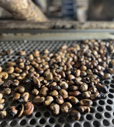 2024_04_03_09_33_IMG_9314