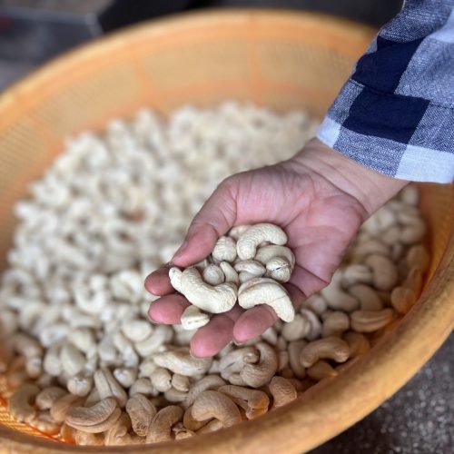 2024_04_03_09_40_IMG_9335