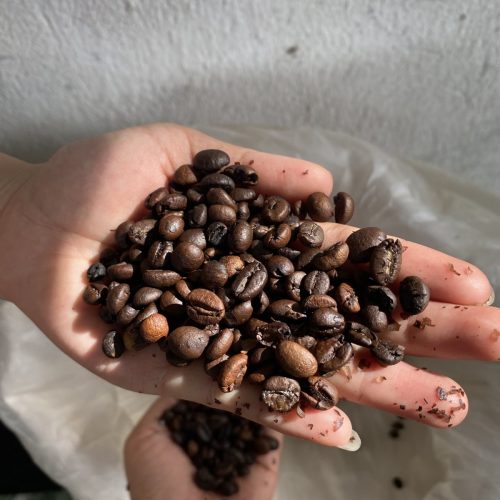 z4723528982838_3bdea55385bba39c5f8c33e7e3d4ab5c