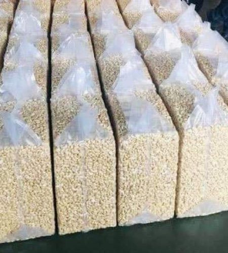 z5278528204686_bc649f63b2733ecc893109c53c062148