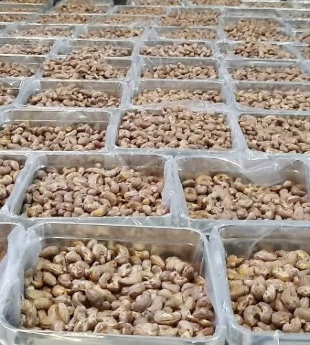 z5278528249542_adb2b5586faec19b11c5d2636ec045cb